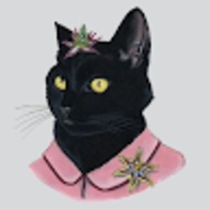 Meet your Posher, Natasha